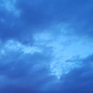 Meet your Posher, Libby